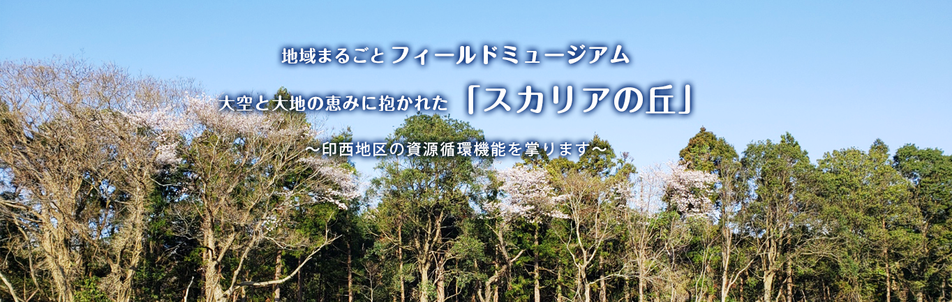 地域まるごとフィールドミュージアム「スカリアの丘」